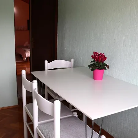 Apartments Anja Rovinj Extérieur photo