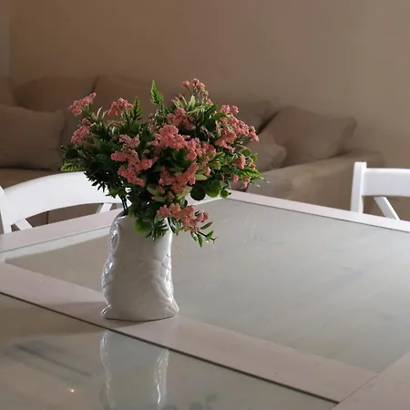 Apartments Anja Rovinj Extérieur photo